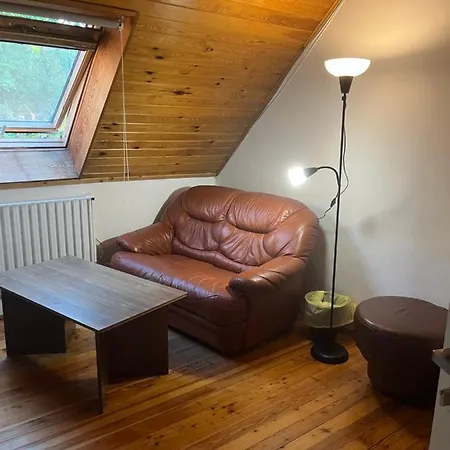 Single Szálloda *